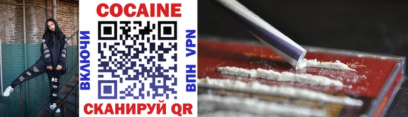 Купить закладки  Новомосковск  Cocaine Fish Scale 